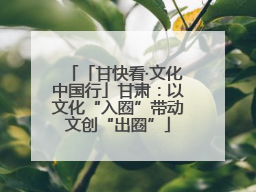 「甘快看·文化中国行」甘肃：以文化“入圈”带动文创“出圈”