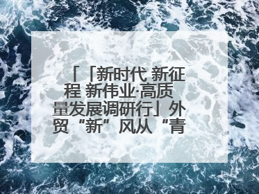 「新时代 新征程 新伟业·高质量发展调研行」外贸“新”风从“青”来 “双向奔赴”启新程