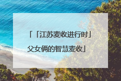 「江苏麦收进行时」父女俩的智慧麦收