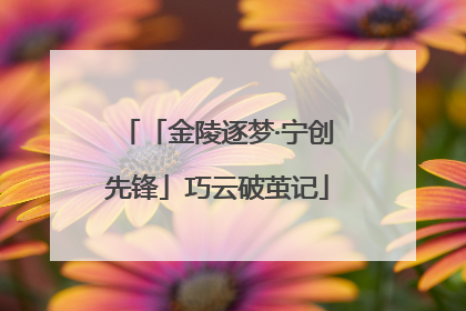 「金陵逐梦·宁创先锋」巧云破茧记