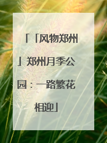 「风物郑州」郑州月季公园：一路繁花相迎