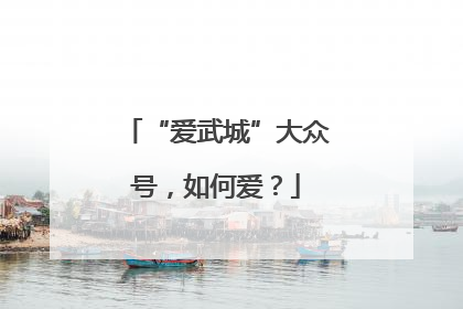 “爱武城”大众号，如何爱？