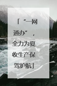 “一网通办”，全力为夏收生产保驾护航
