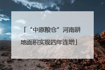 “中原粮仓”河南耕地面积实现四年连增