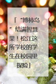 “博柿岛”结满智慧果！松江这所学校的学生在校园里探险