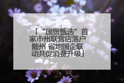 “国贸甄选”首家市州联营店落户随州 省地国企联动共促消费升级
