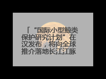 “国际小型鲸类保护研究计划”在汉发布，将向全球推介落地长江江豚保护经验