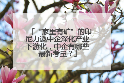 “家里有矿”的印尼力邀中企深化产业下游化，中企有哪些最新考量？