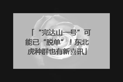 “完达山一号”可能已“脱单”！东北虎种群也有新喜讯