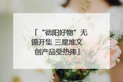 “德阳好物”无锡开集 三星堆文创产品受热捧