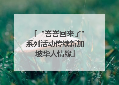 “峇峇回来了”系列活动传续新加坡华人情缘