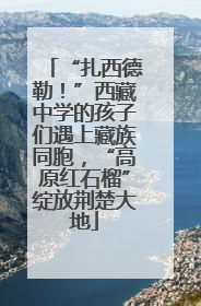 “扎西德勒！”西藏中学的孩子们遇上藏族同胞，“高原红石榴”绽放荆楚大地