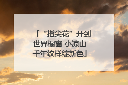 “指尖花”开到世界橱窗 小凉山千年纹样绽新色