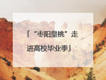 “枣阳皇桃”走进高校毕业季