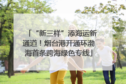 “新三样”添海运新通道！烟台港开通环渤海首条跨海绿色专线