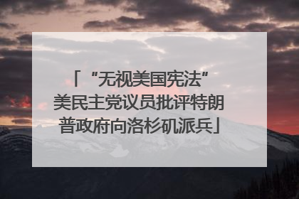 “无视美国宪法” 美民主党议员批评特朗普政府向洛杉矶派兵