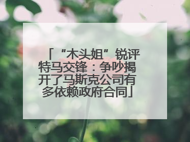 “木头姐”锐评特马交锋：争吵揭开了马斯克公司有多依赖政府合同