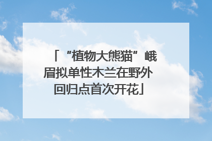 “植物大熊猫”峨眉拟单性木兰在野外回归点首次开花