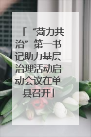 “菏力共治”第一书记助力基层治理活动启动会议在单县召开