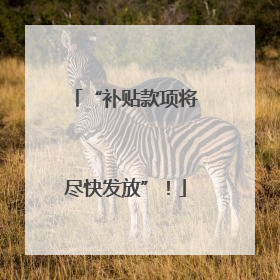 “补贴款项将尽快发放”！