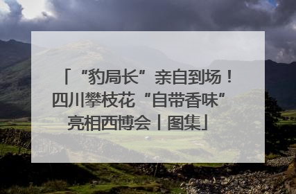 “豹局长”亲自到场！四川攀枝花“自带香味”亮相西博会丨图集