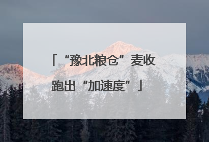 “豫北粮仓”麦收跑出“加速度”