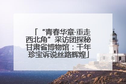 “青春华章·重走西北角”采访团探秘甘肃省博物馆：千年珍宝诉说丝路辉煌