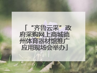 “齐鲁云采”政府采购网上商城德州体育器材馆推广应用现场会举办