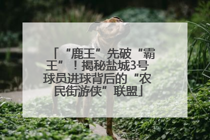 “鹿王”先破“霸王”！揭秘盐城3号球员进球背后的“农民街游侠”联盟
