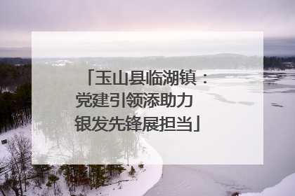 玉山县临湖镇：党建引领添助力 银发先锋展担当