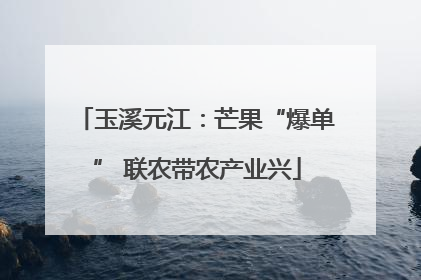 玉溪元江：芒果“爆单” 联农带农产业兴