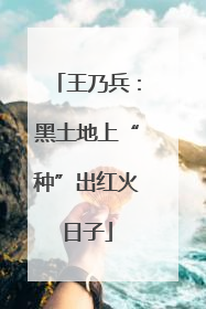 王乃兵：黑土地上“种”出红火日子
