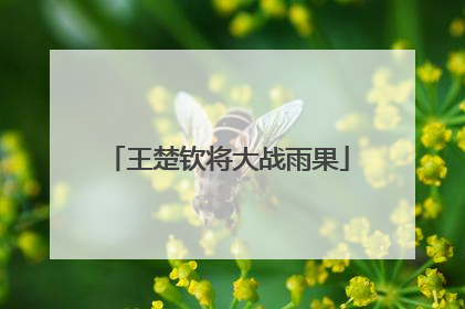 王楚钦将大战雨果