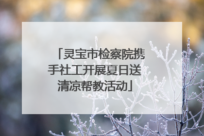 灵宝市检察院携手社工开展夏日送清凉帮教活动