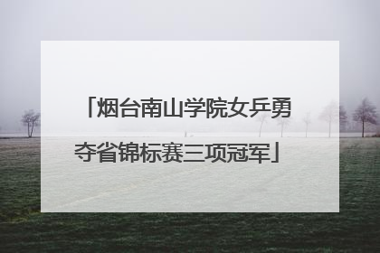 烟台南山学院女乒勇夺省锦标赛三项冠军