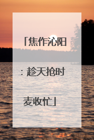 焦作沁阳：趁天抢时麦收忙