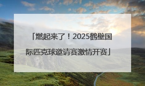燃起来了！2025鹤壁国际匹克球邀请赛激情开赛