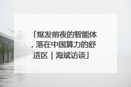 爆发前夜的智能体，落在中国算力的舒适区｜海斌访谈