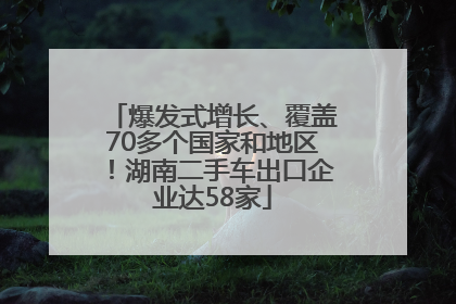爆发式增长、覆盖70多个国家和地区！湖南二手车出口企业达58家