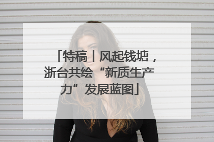 特稿丨风起钱塘，浙台共绘“新质生产力”发展蓝图