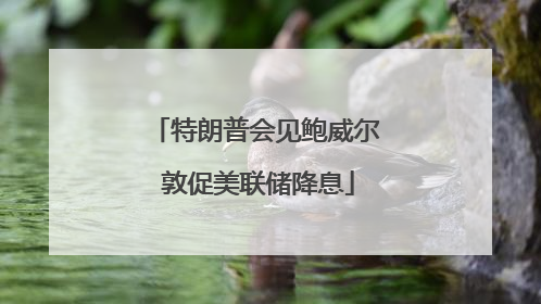 特朗普会见鲍威尔 敦促美联储降息