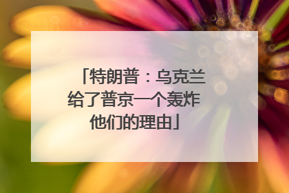 特朗普：乌克兰给了普京一个轰炸他们的理由