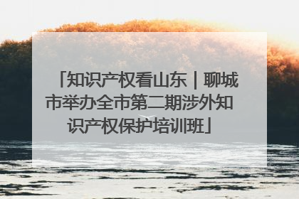 知识产权看山东｜聊城市举办全市第二期涉外知识产权保护培训班