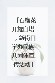 石榴花开耀白塔，新街口举办民族共同体宣传活动