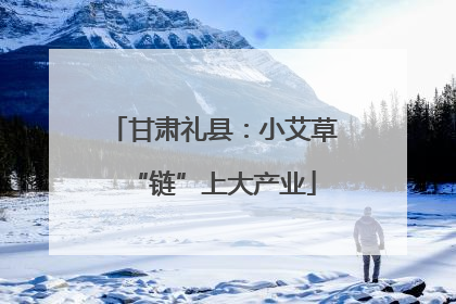 甘肃礼县：小艾草“链”上大产业