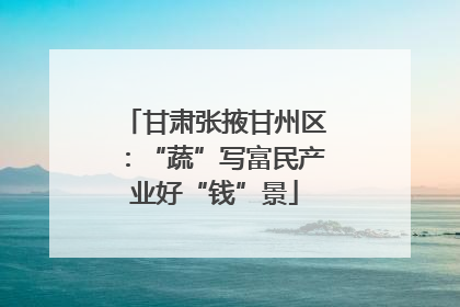甘肃张掖甘州区：“蔬”写富民产业好“钱”景