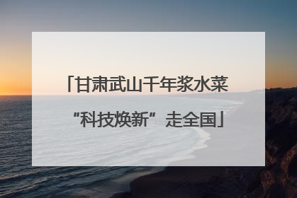 甘肃武山千年浆水菜“科技焕新”走全国