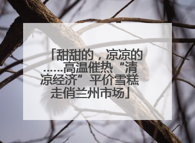 甜甜的，凉凉的……高温催热“清凉经济”平价雪糕走俏兰州市场