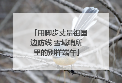 用脚步丈量祖国边防线 雪域哨所里的别样端午