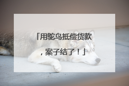 用鸵鸟抵偿货款，案子结了！